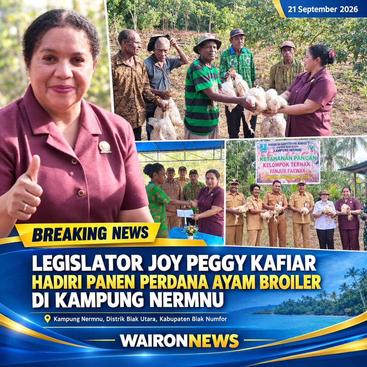 Legislator Joy Peggy Kafiar Hadiri Panen Perdana Ayam Broiler di Kampung Nermnu