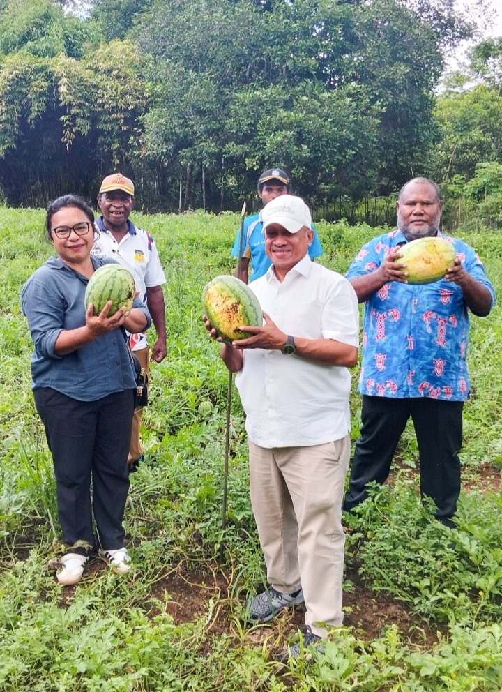 Bupati Markus Panen Buah Semangka di Ketapang Doyai Kampung Rim