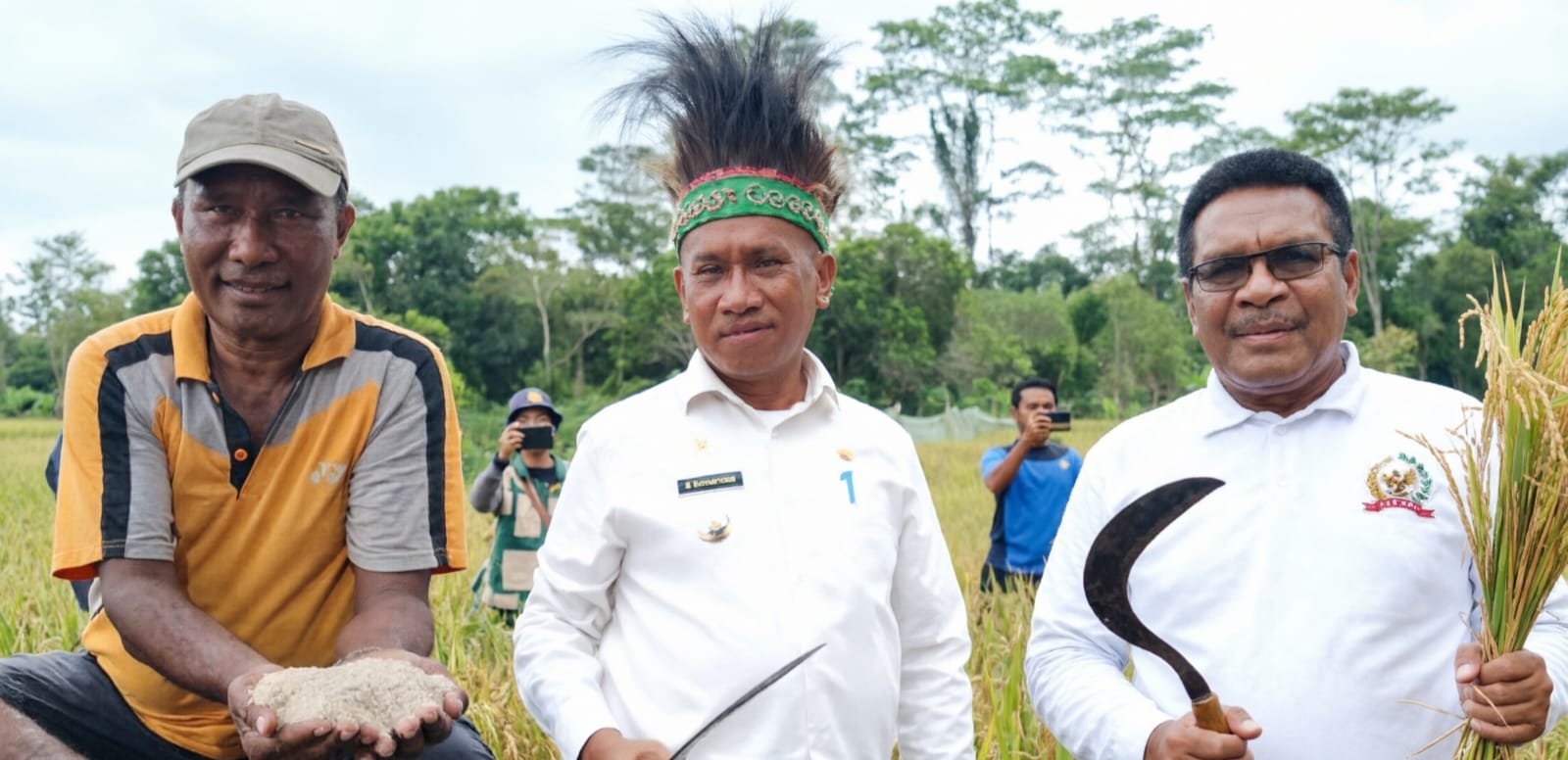 Uji Coba Tanam Padi di Biak Berbuah Manis, Hasil Panen Perdana Dinilai Menjanjikan