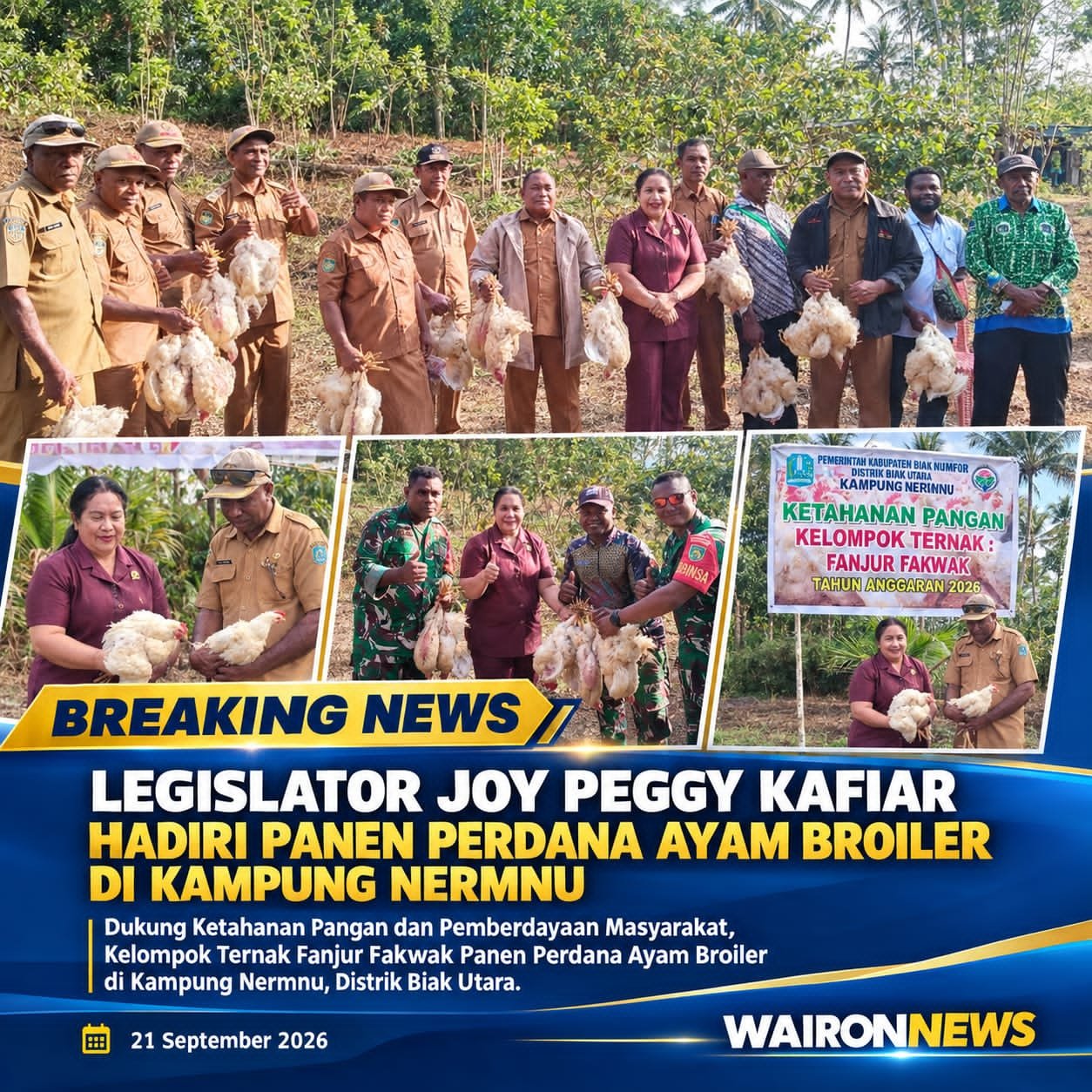 Legislator Joy Peggy Kafiar Hadiri Panen Perdana Ayam Broiler di Kampung Nermnu